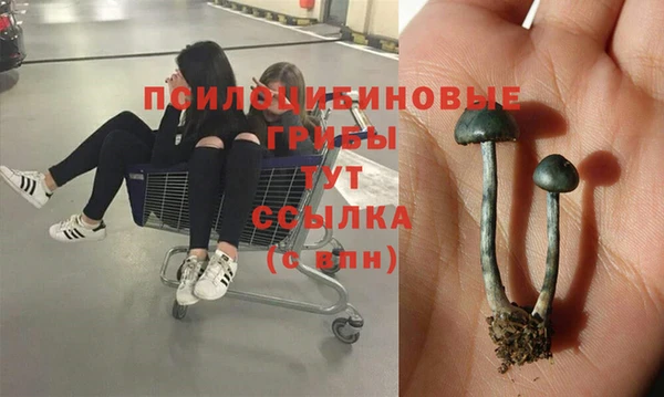 трава Балахна