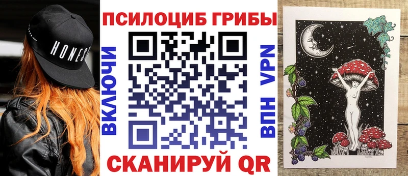 Купить где  Старица  Псилоцибиновые грибы Psilocybine cubensis 